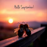 Doris Houle - @doetdohoule - Instagram