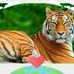 Doris Houser - Facebook