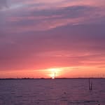 Doris Hoven - @dorishoven_2024 - Instagram