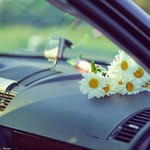 doris howe - @howe7179dil - Instagram