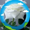 doris - @doris.huerta1 - TikTok