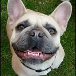 @_doris_hughes_ - Instagram