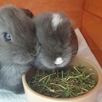 Doris&Hugo - @dorisandhugo - Instagram