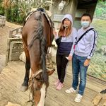 Doris Hung - @dorishung0726 - Instagram