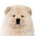 Doris Hung - Facebook