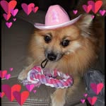 Doris Hunt - @doris.hunt.14 - Instagram