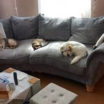 Doris Hunsinger - @hunsinger.dori - Instagram
