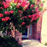 Doris Hurd - @dhurd777 - Instagram