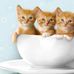 Doris Hurd - Facebook