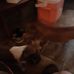Doris Hurst - Facebook