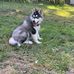 Huskey Torres - Facebook