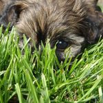Doris Husse - @husse.doris - Instagram