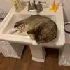 Doris Hussey - @doris.hussey - TikTok