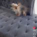 Doris Hutton - Facebook