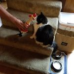 Doris Hyde-Hurst - @dorisyouslut - Instagram
