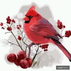 Doris Hynes - Facebook