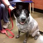 Doris Irving - @irvingdoris - Instagram