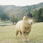 祁阳 - @doris_is_on_the_way - Instagram
