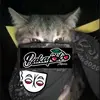 DorisonV - @dorisonv - TikTok