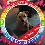 Doris Vester - @doris.vester - Instagram