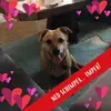 dorisvester - @dorisvester - TikTok