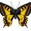 Doris Jacobi - Facebook