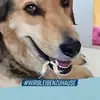 Doris Jacobs - @doris.jacobs0 - TikTok