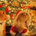 Doris Jacobs - Facebook
