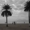 doriesjacoby - @doriesjacoby - TikTok