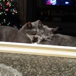 Doris Callahan Jacques - @jakesbabies - Instagram