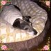 Doris Jacques - Facebook