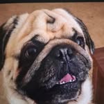 doris - @dorisjaeger55 - Instagram