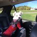 Doris Jaeger - Facebook