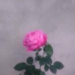 Doris Jaime - Facebook
