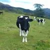 Doris Jaime - @doris.jaime7 - TikTok