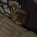 Doris Jakob - @doris.jakob15 - Instagram