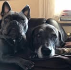 Doris Jakob - Facebook