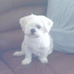Doris Jakobs - @doris.jakobs.10 - Instagram