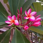 doris jansson - @doris_jansson - Instagram
