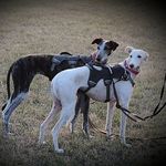 Doris - @doris.jantke - Instagram