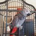 Doris Jantke - Facebook