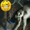 doris juarez nestarez - @dorisjuarez - TikTok