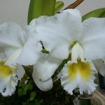 Doris Kahn - @doris.kahn.7 - Instagram