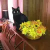 doris Kayser - @doris.kayser - TikTok