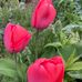 Doris Kayser - Facebook