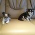 Doris Kayser Konter - Facebook