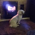 Doris kingston - @doriskingston70 - Instagram