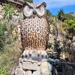 Doris Kirchhoff - @doriskirchh - Instagram