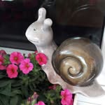 doriskirchhoff - @doriskirchhoff4 - Instagram