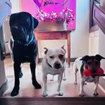 Doris Kirsch - @d_kirsch.d_arimakitchen - Instagram